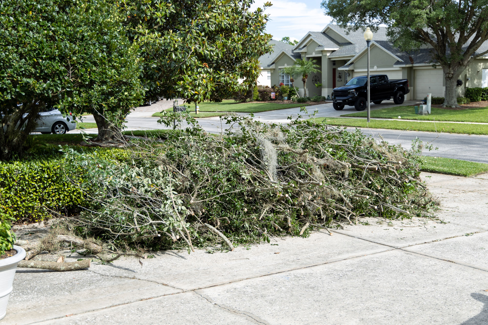 About Our Yard Waste Removal Services