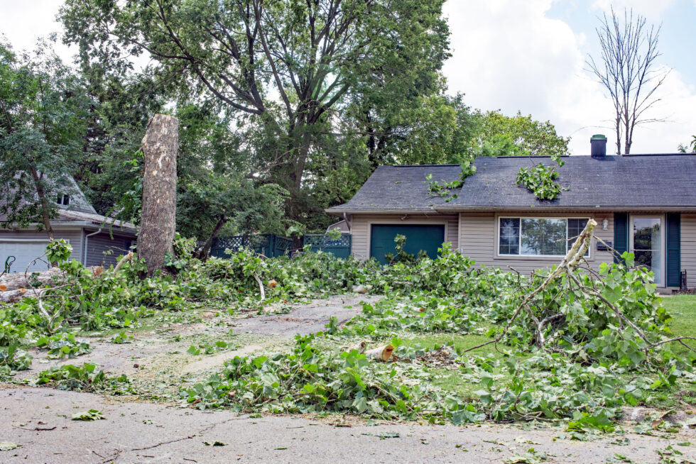 houston-yard-waste